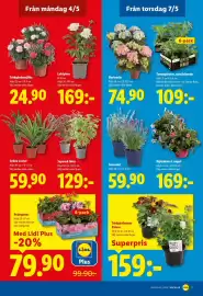 Lidl reklamblad vecka 19 Sida 19