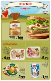 Volantino Ipercoop Radenza Pagina 11