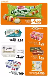 Volantino Ipercoop Radenza Pagina 15