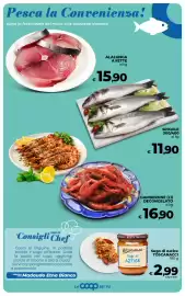 Volantino Ipercoop Radenza Pagina 23