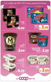 Volantino Ipercoop Radenza Pagina 29