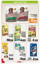 Volantino Ipercoop Radenza Pagina 50