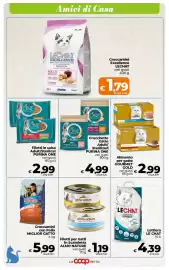 Volantino Ipercoop Radenza Pagina 51