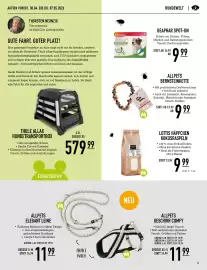 MegaZoo Flugblatt woche 18 Seite 11