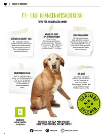 MegaZoo Flugblatt woche 18 Seite 18