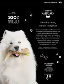 MegaZoo Flugblatt woche 18 Seite 19