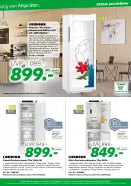 EP Flugblatt Seite 9