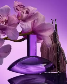 Calvin Klein leták Strana 10