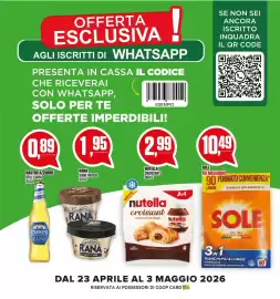Volantino Coop Master Alleanza 3.0 Pagina 17
