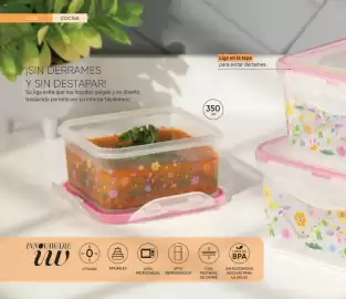 Catálogo Avon Página 100