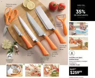 Catálogo Avon Página 69