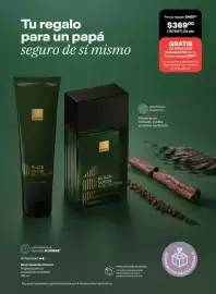 Catálogo Avon Página 12