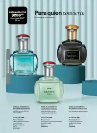 Catálogo Avon Página 29