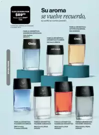 Catálogo Avon Página 41