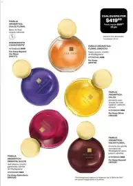 Catálogo Avon Página 48