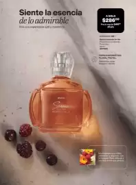 Catálogo Avon Página 52