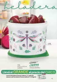 Folleto Tupperware Página 46
