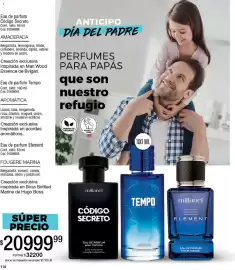 Catálogo Millanel Cosmética Página 176