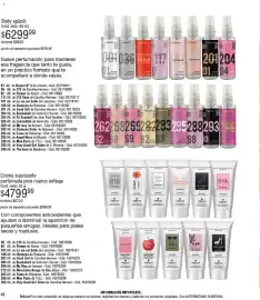 Catálogo Millanel Cosmética Página 42