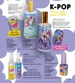 Catálogo Millanel Cosmética Página 91