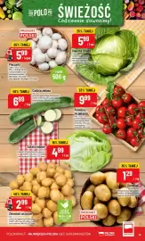 Polomarket gazetka tydzień 18 Strona 19