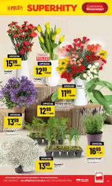 Polomarket gazetka tydzień 18 Strona 21