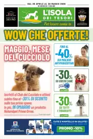 Volantino L´Isola dei Tesori Pagina 1