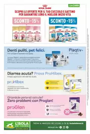 Volantino L´Isola dei Tesori Pagina 16