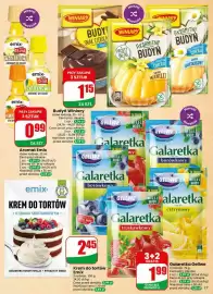Dino gazetka tydzień 18 Strona 17