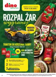 Dino gazetka tydzień 18 Strona 22