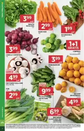 Stokrotka Market gazetka tydzień 18 Strona 13