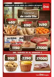 Folleto Supermercados DIA semana 18 Página 1