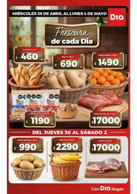 Folleto Supermercados DIA