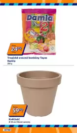 Action leták týden 18 Strana 16