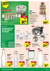 Hagebau Flugblatt Seite 16