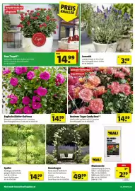 Hagebau Flugblatt Seite 2