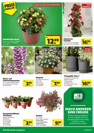 Hagebau Flugblatt Seite 4