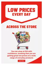 IGA catalogue week 18 Page 41