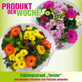 Blumen B&B Flugblatt woche 18 Seite 1