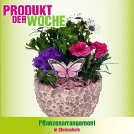 Blumen B&B Flugblatt woche 18 Seite 3
