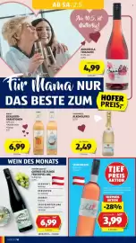 Hofer Flugblatt Seite 14