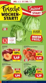 Hofer Flugblatt Seite 18