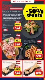 Hofer Flugblatt Seite 19