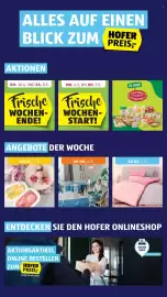 Hofer Flugblatt Seite 2