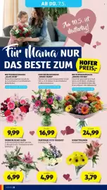 Hofer Flugblatt Seite 34