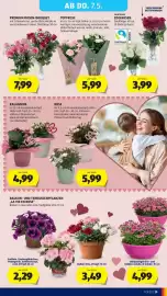 Hofer Flugblatt Seite 35