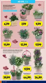 Hofer Flugblatt Seite 36