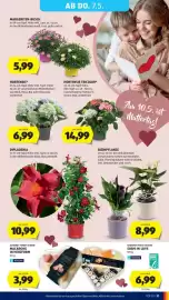 Hofer Flugblatt Seite 37