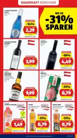 Hofer Flugblatt Seite 5