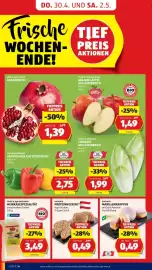 Hofer Flugblatt Seite 6